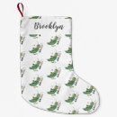 Recherche de cricket christmas decor Sports