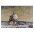 Recherche de rapace planches à découper Animal