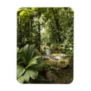 Suche nach regenwald magnete Umwelt