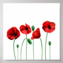 Suche nach rote blumen poster Aquarell