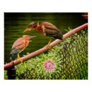 Suche nach reiher poster Blumen