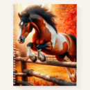 Recherche de cheval sauter Pour tous