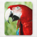 Suche nach ara mousepads Tierwelt