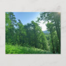 Recherche de vert forêt cartes postales Boisé
