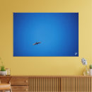 Suche nach blaue vögel poster leinwandbilder Natur