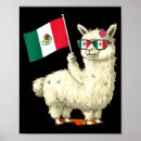 Suche nach mexiko flagge poster Mexikanisch