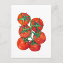 Suche nach reife tomate postkarten Obst