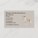 Recherche de levrier cartes visite Canin
