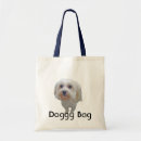 Recherche de maltais sacs Amoureux des chiens