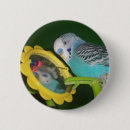 Suche nach parakeet buttons Blau