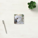 Recherche de australien post its Oiseau