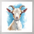 Suche nach baby goat poster Bauernhof