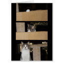 Recherche de admirateur secret cartes postales Drôle