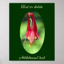 Recherche de la colonie posters Nature