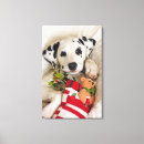 Suche nach tierkopf leinwandbilder Tierkörper