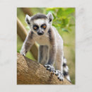 Recherche de rampant posters Adorable