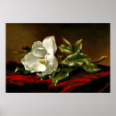 Recherche de velours rouge posters Fleur