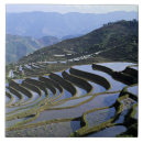 Suche nach terrasse fliesen Landwirtschaft