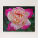 Recherche de thé hybride Rose de thé
