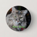 Suche nach meow buttons Tier
