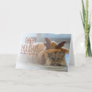 Recherche de chat persan cartes postales Horizontal