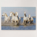 Suche nach laufendes pferd puzzle Bauernhof