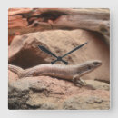 Recherche de lézard horloges Animal