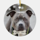 Suche nach buller ornamente Hund