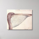 Suche nach pelikan leinwandbilder Vogel
