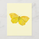 Suche nach schmetterlingsflügel postkarten Tiere