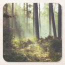 Suche nach flecken untersetzer Wald