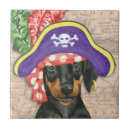 Recherche de dobermann carreaux Chiot
