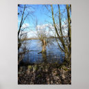 Suche nach alter baum poster Natur