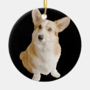 Recherche de corgi ornements Mignon