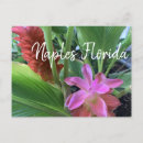 Recherche de naples floride cartes postales Côte