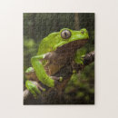 Recherche de amphibien puzzles Grenouille