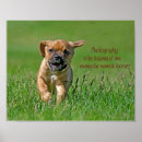 Suche nach laufende poster Kaninchen