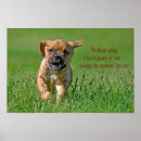 Suche nach laufende poster Hund