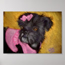 Suche nach shih tzu poster Tiere