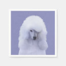 Recherche de caniches serviettes Chiot