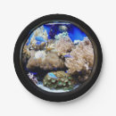 Suche nach aquarium teller Blau