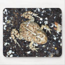 Suche nach kröten mousepads Amphibien