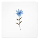 Recherche de autruche posters Nature
