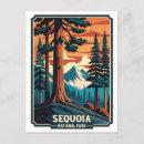 Recherche de ours de la californie cartes postales Randonnée