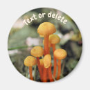 Suche nach pilze magnete Orange