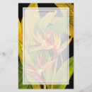 Recherche de paradis papeterie Tropical
