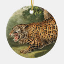 Suche nach jaguar an ornamente Leopard