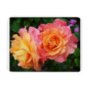 Suche nach orange rose magnete Natur