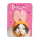Recherche de chat heureux magnets Animal