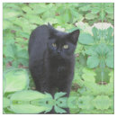 Suche nach schwarze katze stoffe Katzenartig